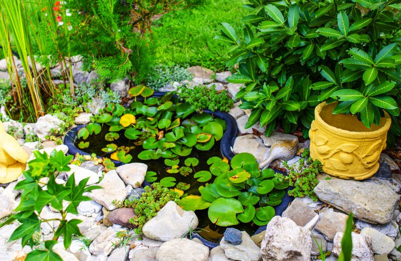 Pond Landscaping Service